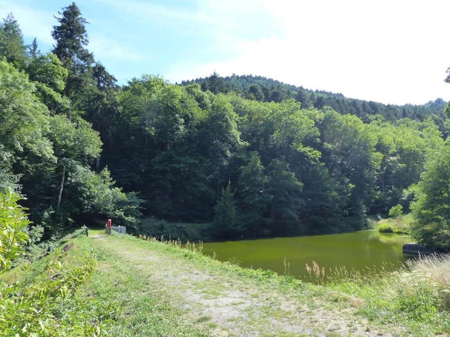 Appartement Entier Dans Un Ecrin De Verdure Thann Kültér fotó