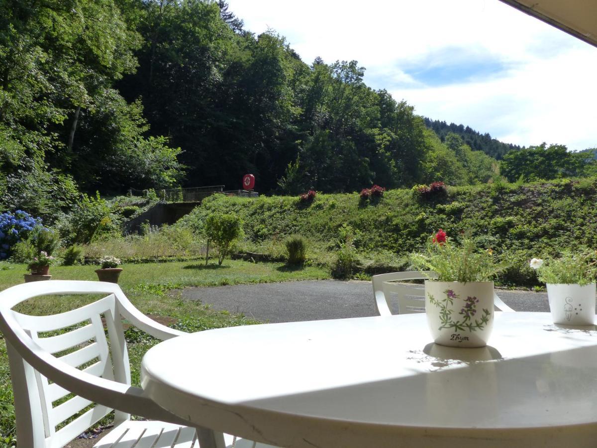 Appartement Entier Dans Un Ecrin De Verdure Thann Kültér fotó